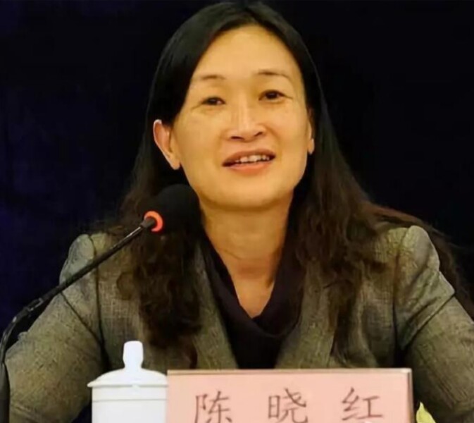 陈晓红1.jpg